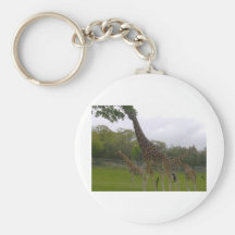 Giraffe group key chains