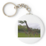 Giraffe group key chains