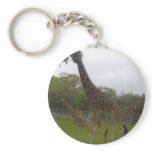 Giraffe group keychains