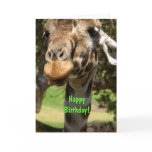 Giraffe, Happy Birthday! cards