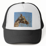 Giraffe hats