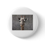 giraffe head front view pinback button