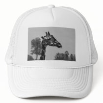 Giraffe head with plants and sky photograph hats