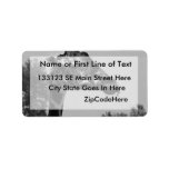 Giraffe head with plants and sky photograph personalized address labels