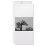Giraffe head with plants and sky photograph rack card
