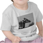 Giraffe head with plants and sky photograph tees