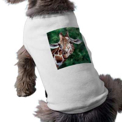 Giraffe I'm Up Here Pet Clothing by bmthour