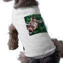 Giraffe I'm Up Here Pet Clothing pet clothing