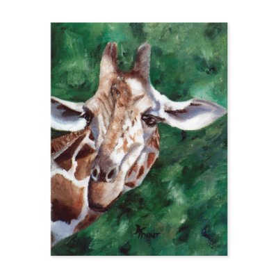 Giraffe I'm Up Here Postcard by bmthour