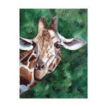 Giraffe I'm Up Here Postcard