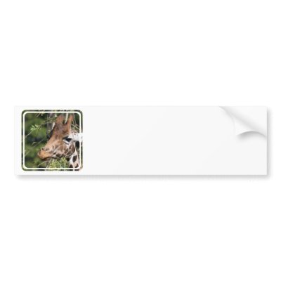 Giraffe Images Bumper Stickers by WildlifeAnimals