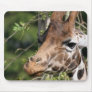 Giraffe Images Mouse Pad