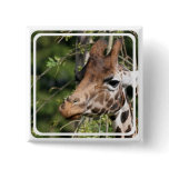 Giraffe Images Square Pin