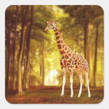 Giraffe in the forest square sticker
