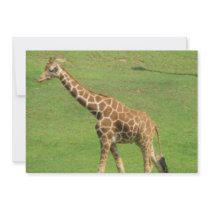 Giraffe Invitation