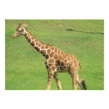 Giraffe Invitation