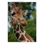 Giraffe Lovers Art Gifts Cards