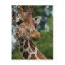 Giraffe Lovers Art Gifts Post Cards