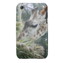 Giraffe Lunch iPhone 3 case