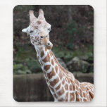 Giraffe Mouse Mats