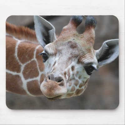Giraffe  Mouse Pad by WildlifeAnimals