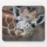 Giraffe  Mouse Pad mousepads