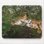 Giraffe mousemats mouse pads