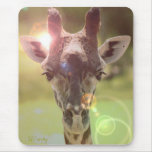 Giraffe mousepads