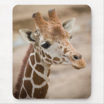 giraffe mouse pads
