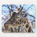 Giraffe mousepads