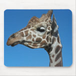 Giraffe mousepads