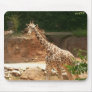 Giraffe Mousepad