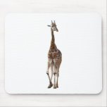 Giraffe Named Tip Top Mouse Pad..!