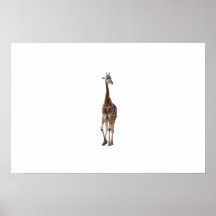 Giraffe Named Tip Top Print (Large)..!