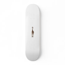 Giraffe Named Tip Top Skateboard..!