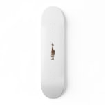 Giraffe Named Tip Top Skateboard..!