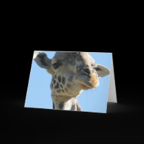 Giraffe notecard cards