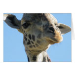 Giraffe notecard