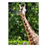 Giraffe Notecard