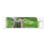 Giraffe Pair Bumper Sticker