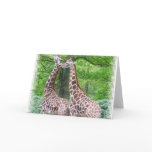 Giraffe Pair Greeting Card