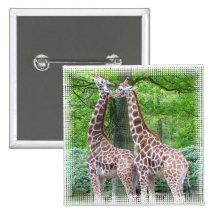 Giraffe Pair Square Pin
