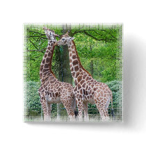 Giraffe Pair Square Pin