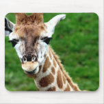 Giraffe Photo Mouse Pad