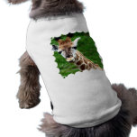 Giraffe Photo Pet Shirt