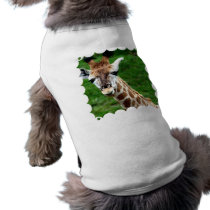 Giraffe Photo Pet Shirt