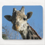 Giraffe picture on a mousepad