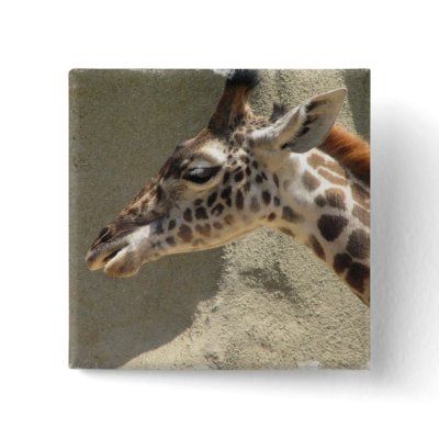 Giraffe Pin by WildlifeAnimals