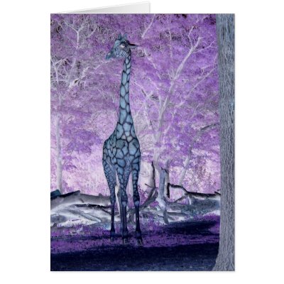 Giraffe Pop Art Cards by Incatneato