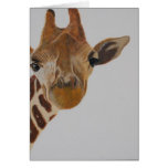 Giraffe Portrait Cards